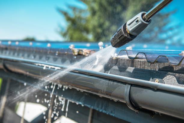 Best Roof Pressure Washing  in Nixon, TX