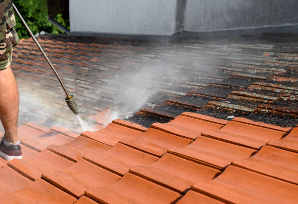 Best Sidewalk Pressure Washing  in Nixon, TX