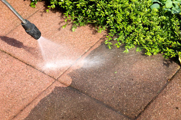 Best Local Pressure Washing Services  in Nixon, TX